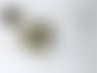 【新規募集開始】2022.01-03 季節のかわきばな®︎を愉しむリース3回コース/スワッグ3回コース