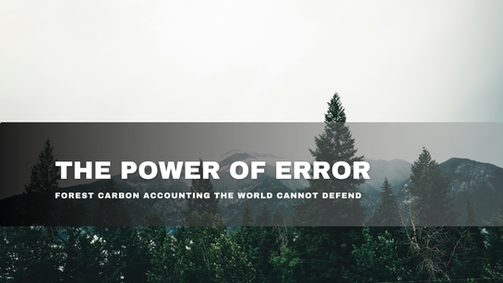 Forest landscape cover image for a blog post on forest carbon accounting, compounding uncertainty, managed forest assumptions, and carbon claims.