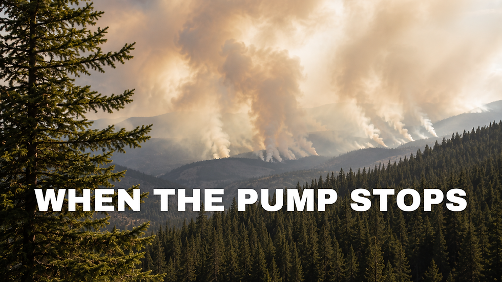 Wildfire smoke rising over a mountainous conifer forest, representing carbon sequestration, forest carbon sinks, and what happens when the planet’s natural carbon pump begins to fail.