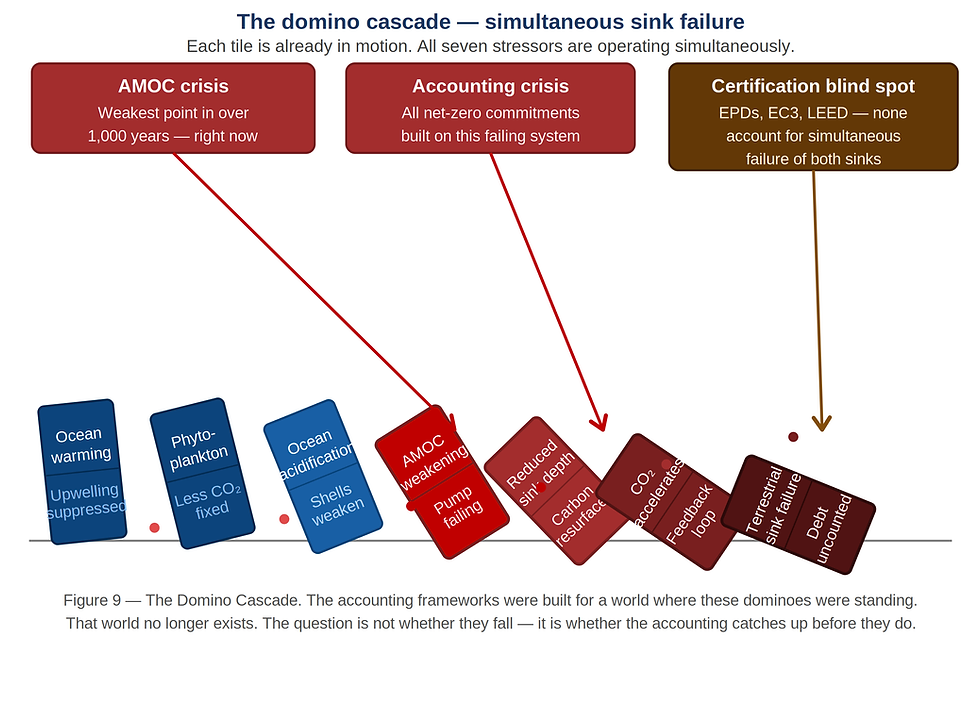 Figure 9: The Domino Cascade - Simultaneous Sink Failure. Seven domino tiles shown tilting progressively further as the cascade advances: (1) Ocean surface warming; (2) Phytoplankton decline; (3) Ocean acidification; (4) AMOC weakening; (5) Reduced deep sequestration; (6) Atmospheric CO₂ acceleration; (7) Terrestrial sink failure. Three crisis annotation boxes: AMOC at 1,000-year low; all net-zero commitments built on this failing system; EPDs, EC3, LEED and mass timber credits account for none of this simultaneously.