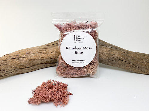 Reindeer Moss - Rose