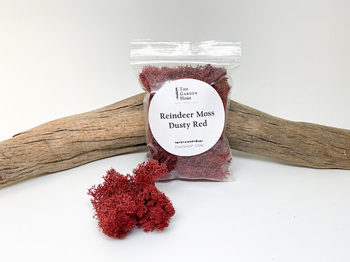 Reindeer Moss - Dusty Red