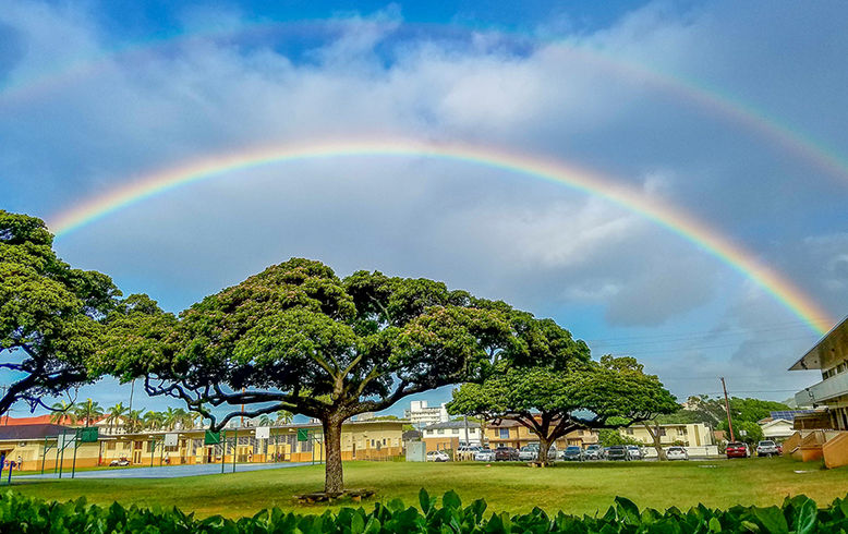 Aliiolani Campus