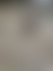 Starting the half term strong in Class 1!