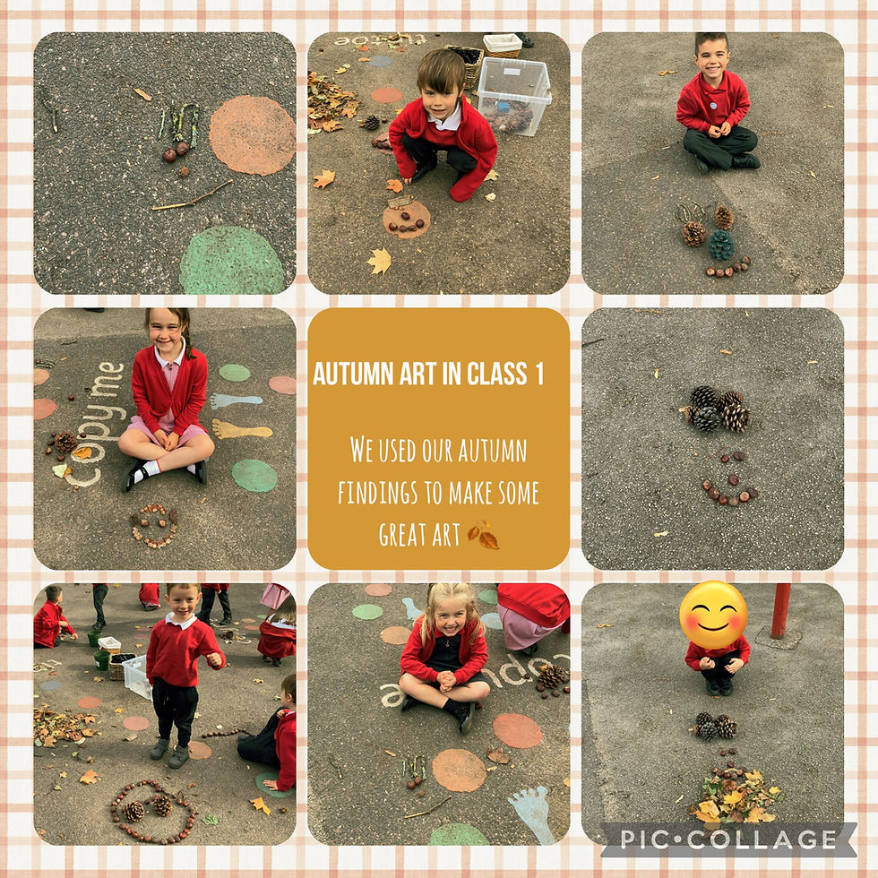 Class 1 Exploring Nature