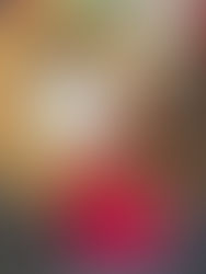 Year 2 Study Van Gogh