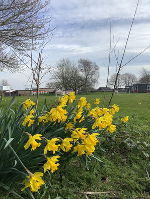 Class 1 explore the signs of spring