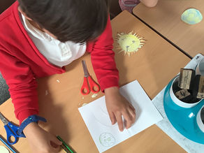 Science and DT in Y1