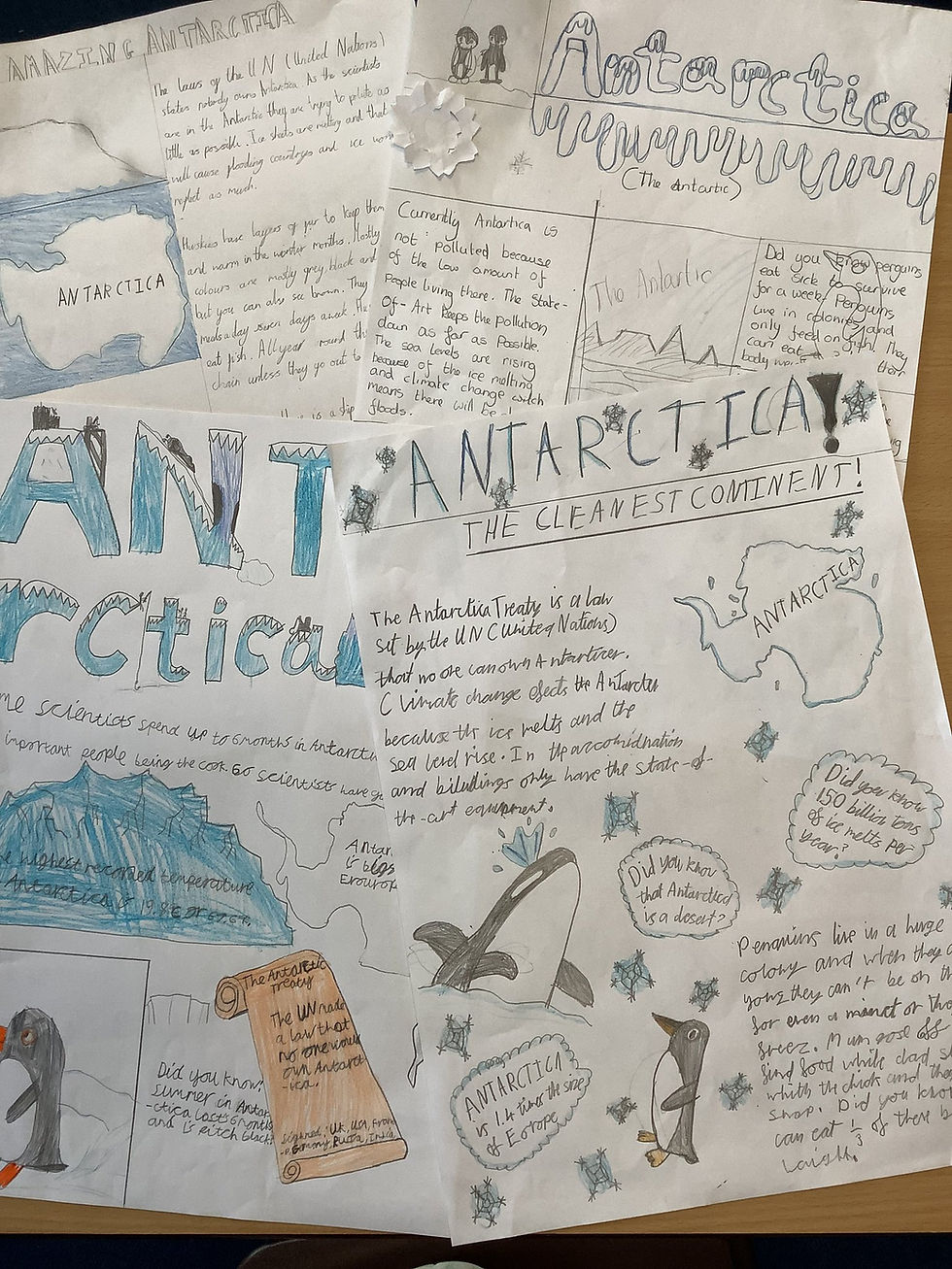 Y6 Examine Antarctica