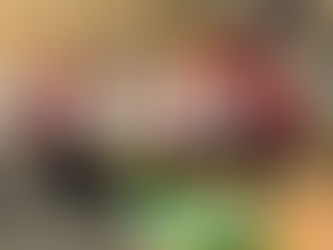 Class 1 explore the Powhatan people 