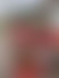 Learning About Air Resistance - Y6