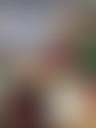 Christmas in the Hillcrest Hive!