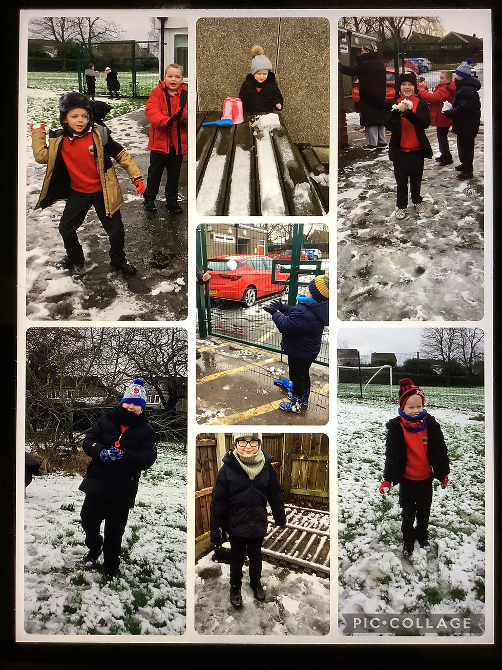 Hillcrest Hive out in the Snow