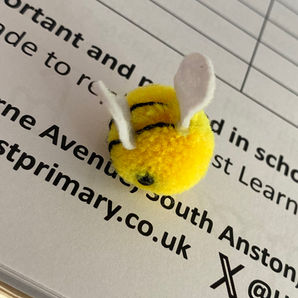 We're going on a bee hunt!