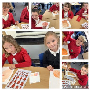 Year 3 Study Ancient Greek Pottery