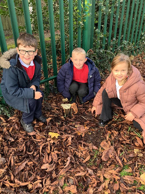Stone Age Tools in Class 