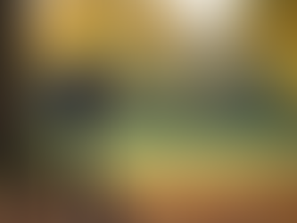 Simon Price Photography in Sleaford: Capturing Moments That Matter