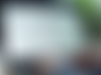 Privacy Policy Basics Every Business Must Know