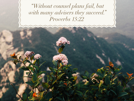 Why Mentors are Indispensable