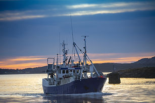 AdobeStock_321710119 kopie.jpeg