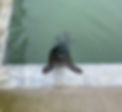4acf76_49da1e5ea63d4fdc94d051038a30ddc0~mv2.jpg