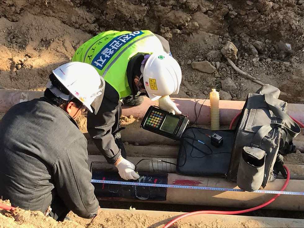 Dig Verification - Korea