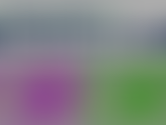 Gaithersburg unanimously passes Lakeforest master plan