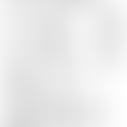 Traditional Aikido Europe (TAE) – Grading Syllabus and Rational (Part 1/3) - By Sensei de Quiros