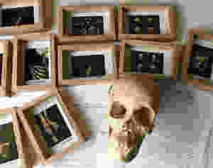 Packing for Skeletons, Stories and Social Bones conference