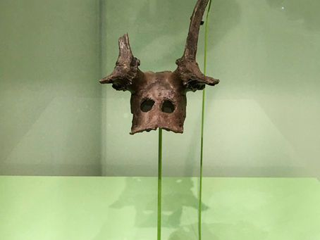 Horn dancing and headdresses