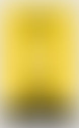 Membaca Pendidikan Orang Biasa