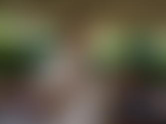 Várzea da Palma realiza III Seminário de Agricultura com foco em tecnologia e desenvolvimento rural