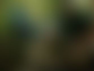 Montes Claros aposta na preservação ambiental com recuperação de nascentes e educação ecológica