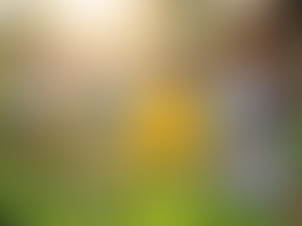 Santa Luzia se destaca com programa de hortas pedagógicas em escolas da rede municipal