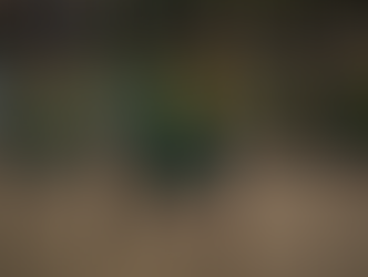 Diamantina: ao som do esporte e com regularização, cidade avança em cidadania e participação comunitária