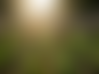 Belo Horizonte incentiva hortas urbanas e fortalece agricultura comunitária