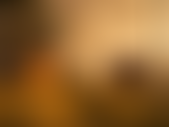 Uberlândia enfrenta aumento de queimadas urbanas e reforça alerta ambiental