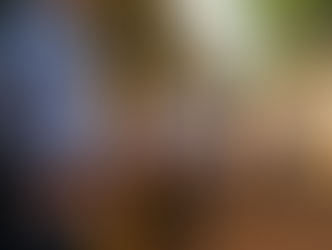 Patos de Minas recebe reforço na frota escolar para atender alunos da zona rural