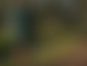 Sete Lagoas aposta em parques lineares para proteger nascentes e ampliar áreas de lazer