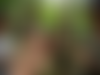 Sete Lagoas: evento sobre plantas alimentícias não-convencionais promove educação ambiental