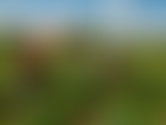 Pirapora fortalece agricultura familiar com apoio técnico e compra direta da produção local