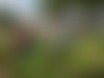 Poços de Caldas valoriza agricultura urbana com hortas comunitárias e produção sustentável