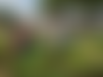 Poços de Caldas valoriza agricultura urbana com hortas comunitárias e produção sustentável