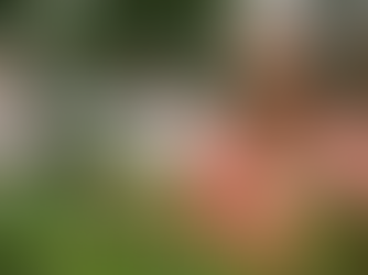 Poços de Caldas aposta em hortas terapêuticas em unidades de saúde para promover bem-estar