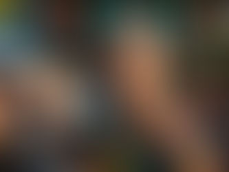 Arcos celebra o envelhecimento ativo com a Festa da Melhor Idade