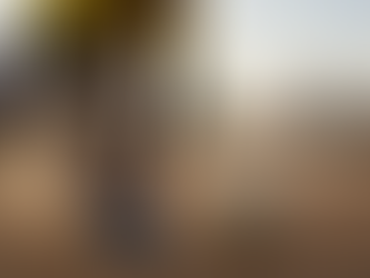 Divinópolis investe em esporte como ferramenta de inclusão social para jovens