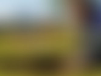 Belo Horizonte inicia programa de plantio de mil mudas em parques municipais e fortalece conexão verde-urbana