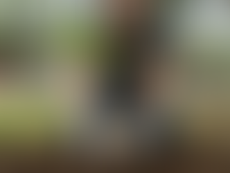 Santa Luzia investe em áreas verdes e transforma espaços urbanos em parques e lazer