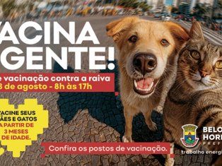 Prefeitura de BH promove vacinação contra a raiva neste sábado (23)
