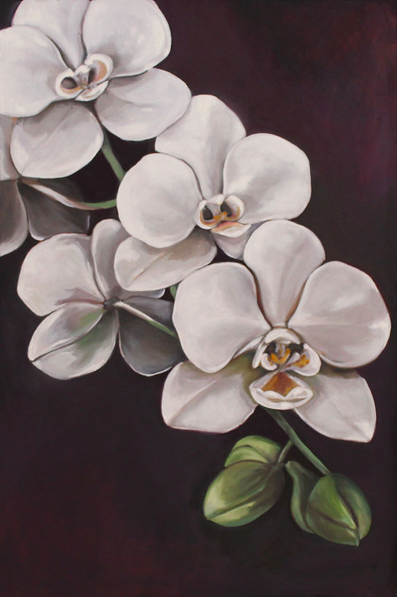 Orquideas de medianoche-fixed.jpg